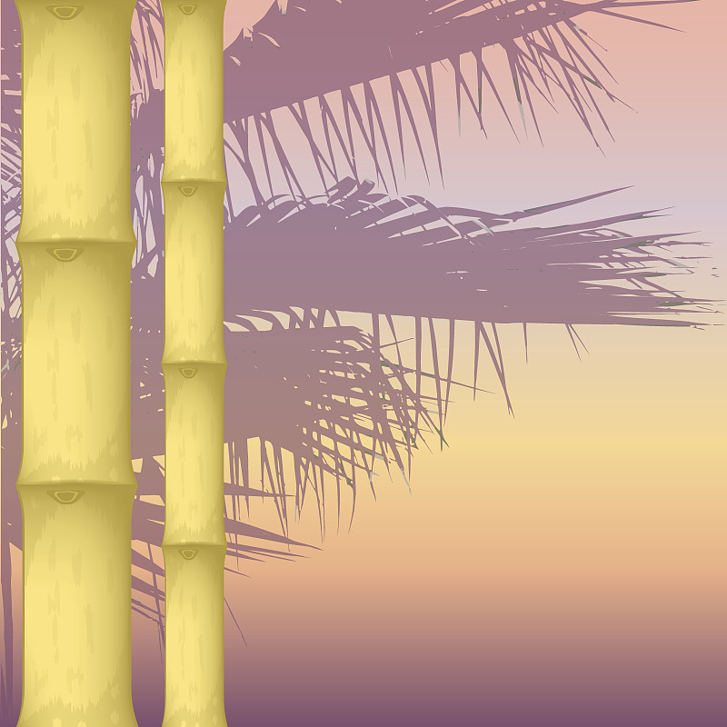 竹,棕榈树,分离着色,棍,竹子,雨林,厚木板,循环元素,绘画插图,褐色