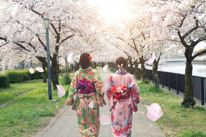 日本,和服,大阪府,传统,女人,亚洲,园林,衣服,樱之花