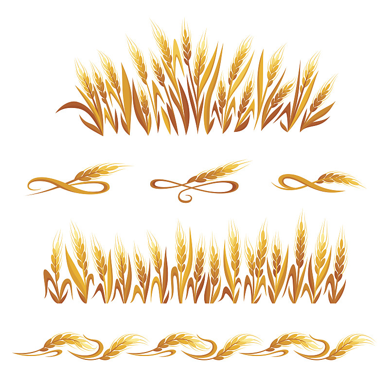 符号,分离着色,人的耳朵,小麦,谷类食品,白色背景,边框,绘画插图,标签,夏天