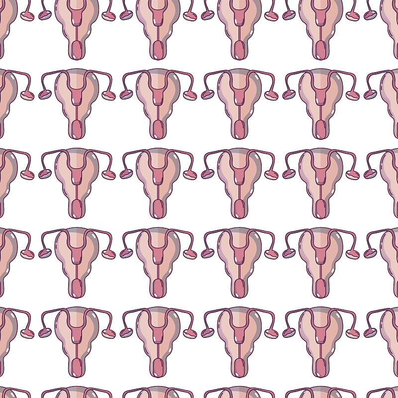 输卵管,人体子宫,背景,女人,人体内脏器官,生殖器疣,子宫内膜,卵巢,子宫壁,卵巢癌