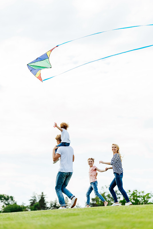 公园,风筝,进行中,幸福,两个孩子的家庭,垂直画幅,父母,夏天,周末活动,户外