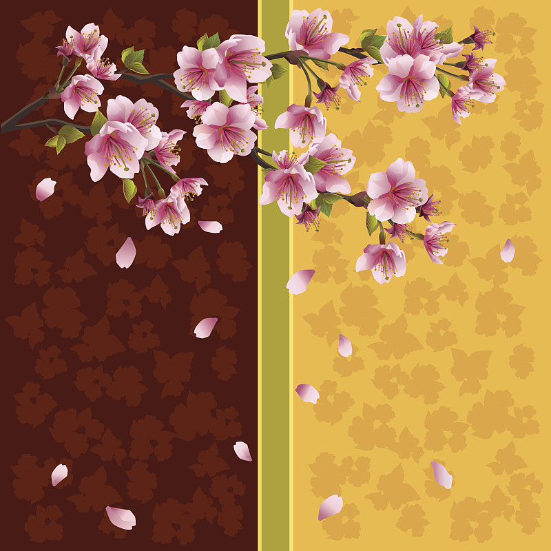 亚洲樱桃树,背景,浪漫,樱之花,开花时间间隔,星和园,樱花,樱桃,枝,花朵