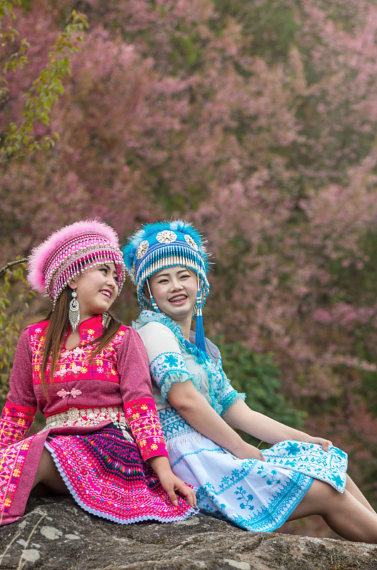 女孩,两个人,泰国,樱之花,清迈省,注视镜头,传统,背景聚焦,苗族,花朵