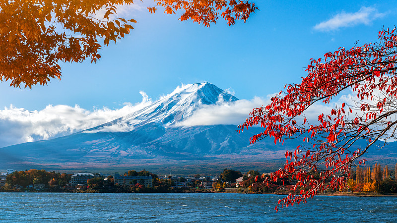 富士山,秋天,日本,彩色图片,水,水平画幅,樱花,樱桃,雪,无人