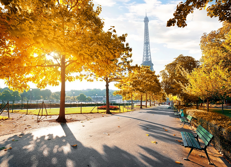 早晨,秋天,日光,巴黎,纪念碑,天空,市区路,旅行者,草,都市风景