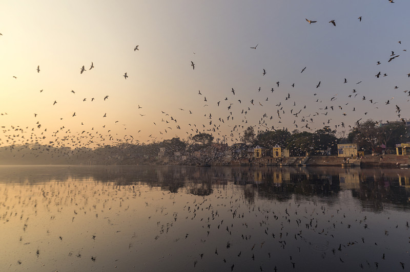 德里,无形的,灵性,水平画幅,无人,户外,雅沐拿河,滨水,印度