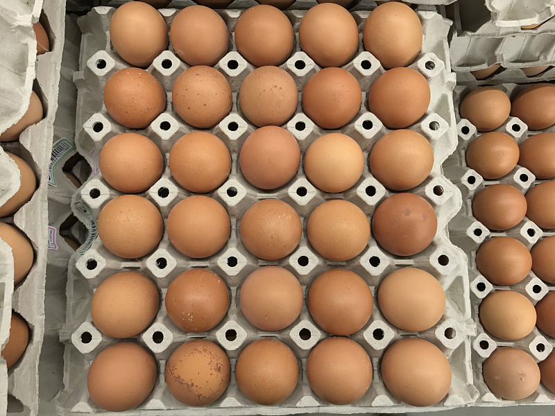 卵,清新,家禽,配方,盒子,营养品,白色,容器,成一排