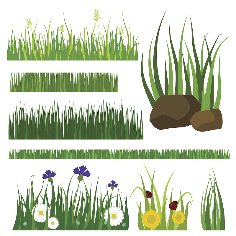 绘画插图,草坪,夏天,草,矢量,草地,绿色,环境,植物,园艺