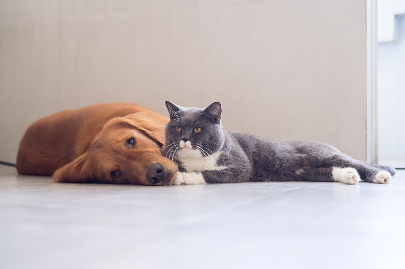 VPG电子游戏- PG电子平台- PG电子官方网站13832