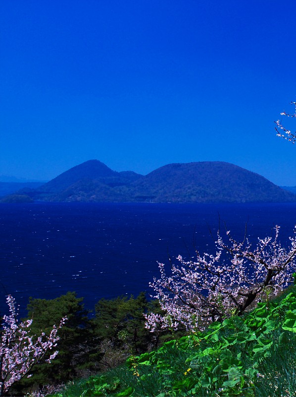 洞爷湖,北海道,非凡的,富士山,风景,欲望,有珠山,羊蹄山,梅子,梅花