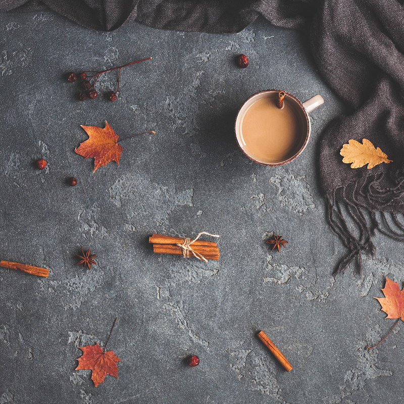 秋天,围巾,方形画幅,在上面,叶子,咖啡,平铺,看风景,早晨,干的