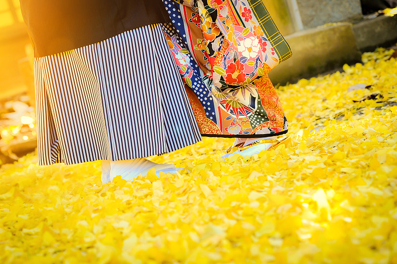 银杏,和服,金色,日本,典礼,婚礼,在下面,传统,美,留白