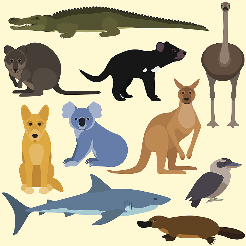 卡通,动物,澳大利亚,袋鼠,无人,绘画插图,鸟类,树袋熊,鲨鱼,性格