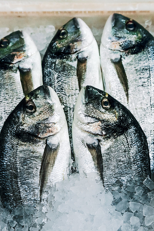 海鲷,碎冰,镀金的,动物头,银色,健康食物,无人,生食,捕捞鱼,海产
