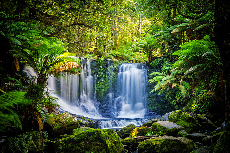 菲尔德山国家公园,澳大利亚,塔斯马尼亚,马蹄铁瀑布,瀑布,雨林,蕨类,自然,水平画幅,绿色