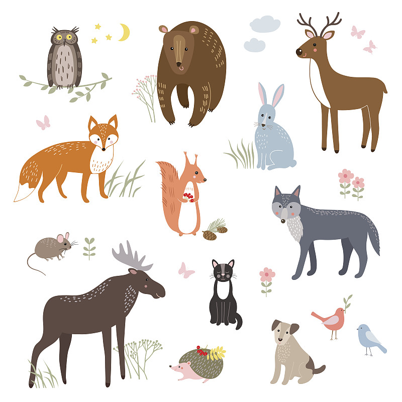 熊,猫,狼,狗,矢量,可爱的,猫头鹰,鼠,鹿,狐狸