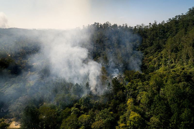 森林火灾,航拍视角,刀耕火种法,纵火罪,烧毁的,风险,亚马逊雨林,火,熔炉,森林