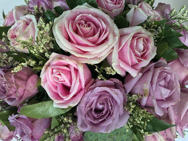 花束,玫瑰,紫色,美,水香花菜,水平画幅,无人,情人节,组物体,生日