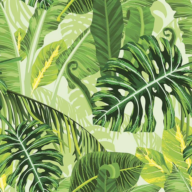 四方连续纹样,棕榈叶,鸡尾酒,纺织品,无人,绘画插图,热带雨林,夏天,棕榈树,雨林