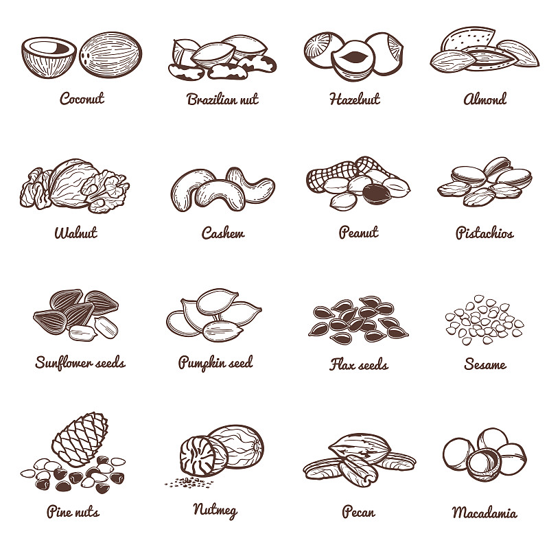 坚果,矢量,蛋白质,种子,计算机图标,食品,健康食物,肉豆蔻,素食,档案