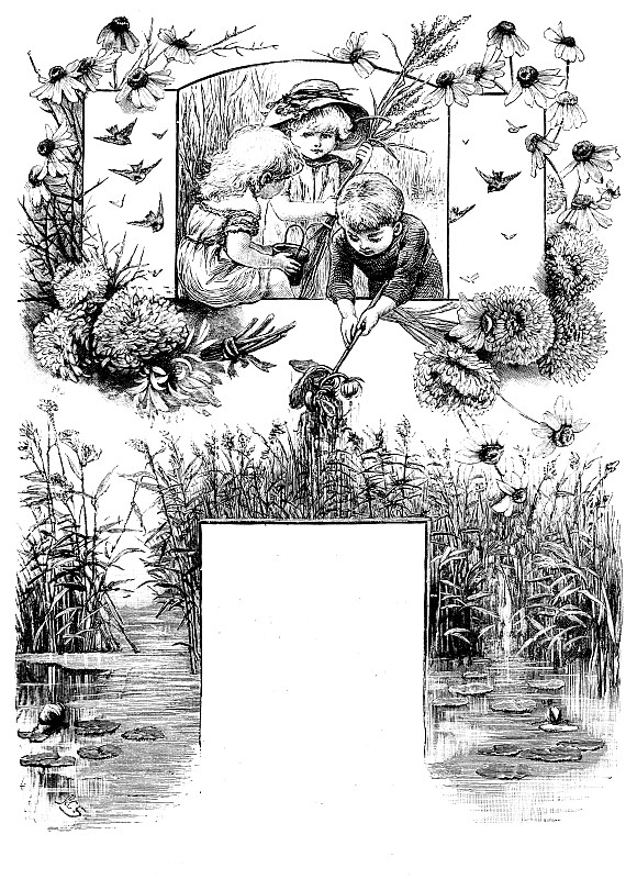 水,19世纪风格,绘画插图,草类,儿童,窗户,无人,三个人,盒子,鸟类