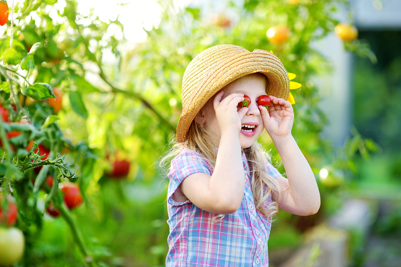 西红柿,清新,可爱的,有机食品,熟的,女孩,温室,帽子,衣服,采摘