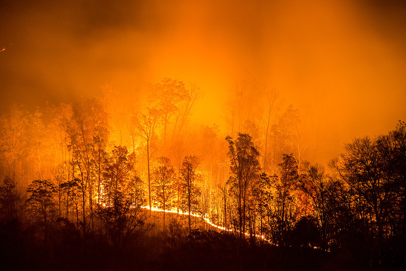 森林火灾,分界线,空降灭火员,极端天气,消防员,纵火罪,森林,火,混沌,树林