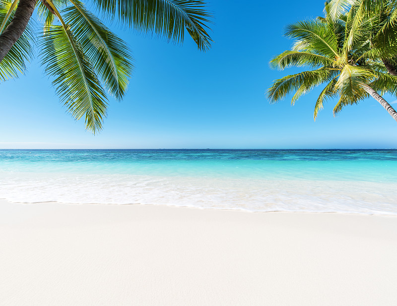海景,马尔代夫,水,天空,留白,沙子,夏天,棕榈树,白色,海浪