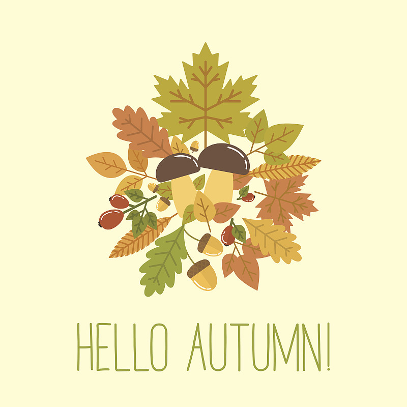 秋天,你好,褐色,边框,艺术,无人,九月,绘画插图,户外,明亮