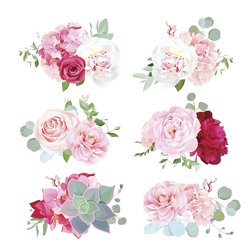 花束,茶花,牡丹,玫瑰,婚礼,八仙花属,小的,绘画插图,古典式,夏天