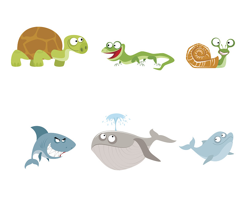 动物,数字6,水平画幅,十字形,绘画插图,海豚,蜥蜴,鲨鱼,性格,卡通