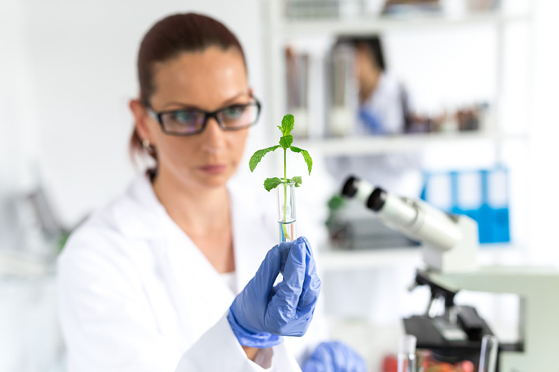 实验室,生物学家,女性,显微镜,杀虫剂,化学家,手术衣,生物化学,白色,防护镜