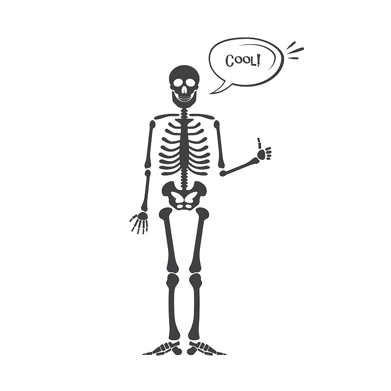 人类骨架,人体,瘦弱,肩胛骨,脊椎,颌骨,肋骨,脊柱,葬礼,骨骼