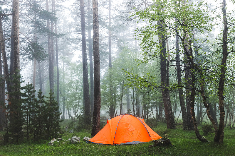 雾,帐篷,湿,徒步旅行,天气,森林,冷,轻的,橙色,休闲活动