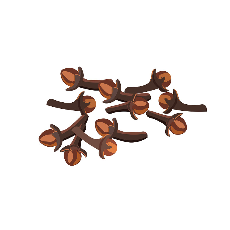 矢量,香料,丁香,芳香的,绘画插图,干的,卡通,多香果粉,糖,豆荚