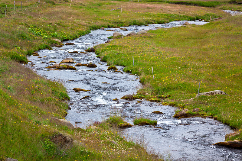 冰岛国,小溪,河流,地形,小的,水,美,水平画幅,无人,苔藓