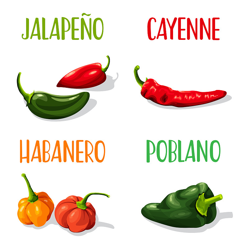 椒类食物,辣椒,饮食,灯笼椒,素食,绘画插图,墨西哥食物,香料,背景分离,方形画幅