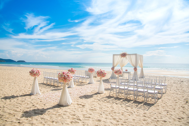 海滩,浪漫,结婚庆典,美,兰花,度假胜地,水平画幅,沙子,椅子,组物体