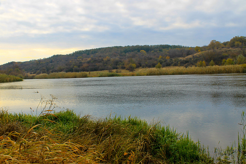 河流,秋天,乌克兰,南,昆虫,秋季系列,水,美,水平画幅,银行