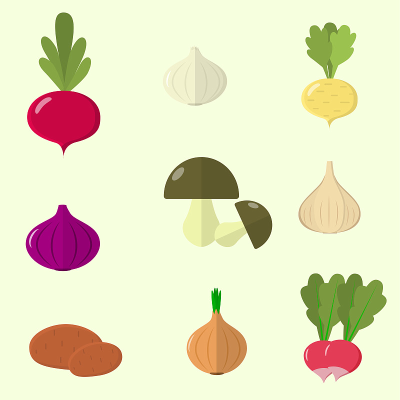 素食,矢量,蔬菜,健康食物,有机食品,白色背景,分离着色,维生素a,水平画幅,芜菁