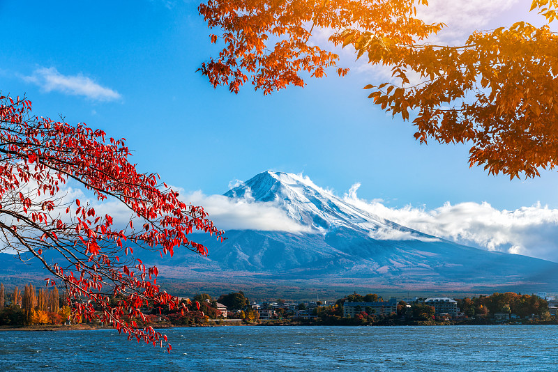 富士山,秋天,日本,彩色图片,水,美,水平画幅,樱花,樱桃,雪
