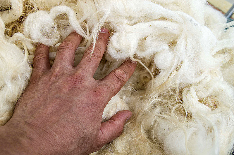棉被,绵羊,枕头,羊毛,自然,农业,土耳其,有蹄哺乳动物,哺乳纲,一只动物