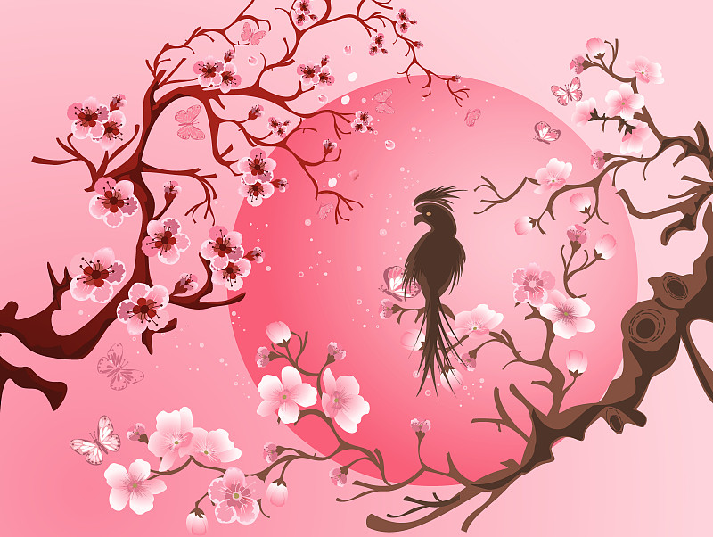 樱桃树,鸟类,樱花,水平画幅,无人,绘画插图,传统,植物,季节,矢量
