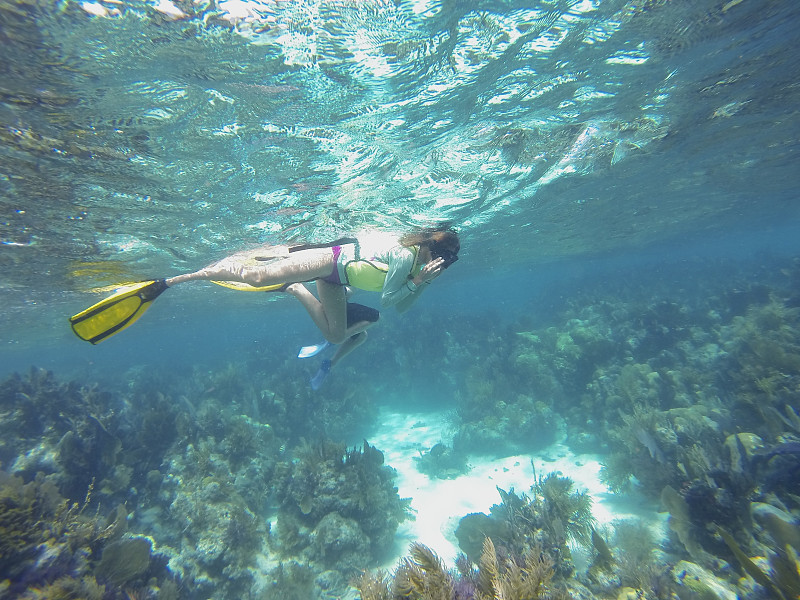 浮潜,母子,比基尼泳裤,自由式游泳,佛罗里达群岛,潜水挡板,潜水镜,礁石,泻湖,休闲活动