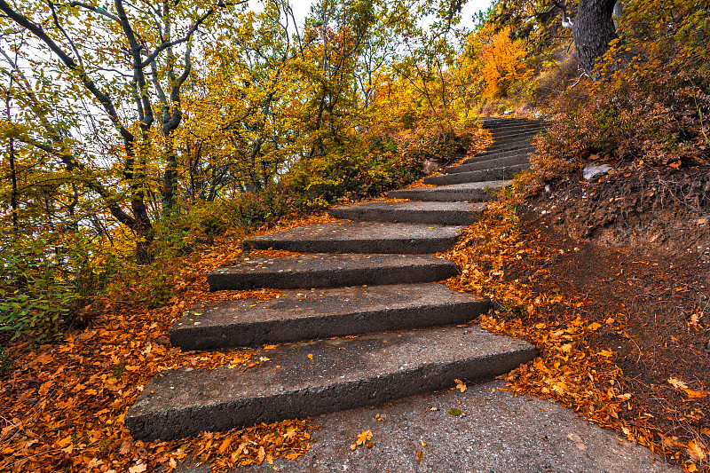 秋天,混凝土,楼梯,s形,枝繁叶茂,克里米亚,市区路,古老的,石材,明亮