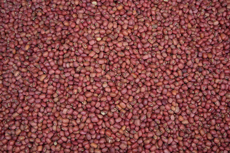 豆,红色,种子,特写,背景,褐色,水平画幅,素食,无人,传统