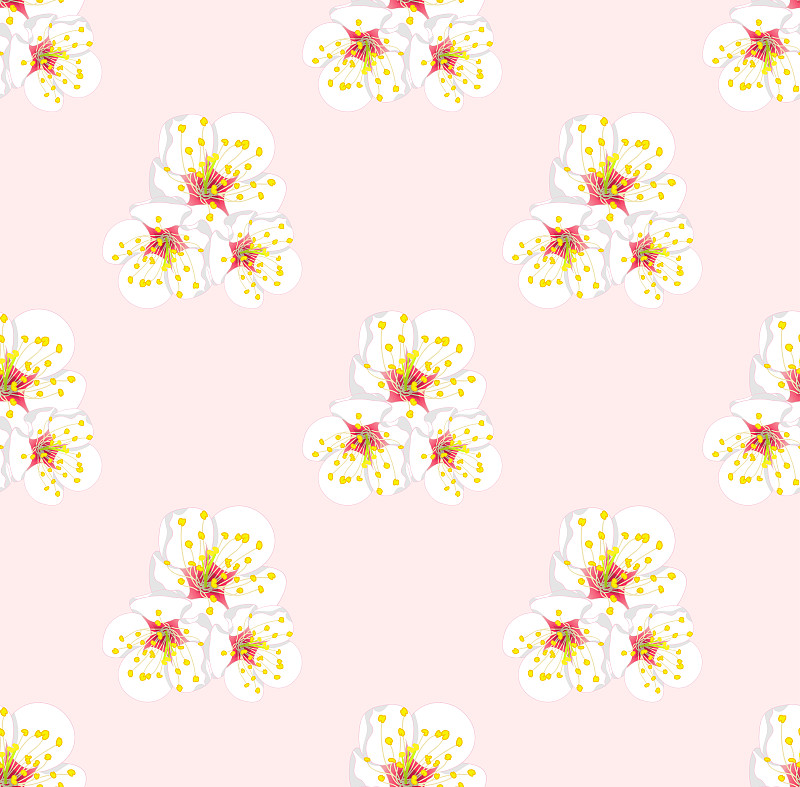 梅花,白色,粉色背景,美,艺术,水平画幅,纺织品,樱花,樱桃,无人