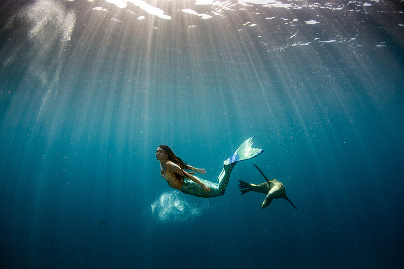 美人鱼,水下,深蓝色的大海,海豹,自然,水,美,水平画幅,进行中,嬉戏的