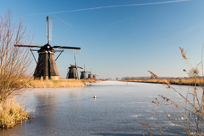 运河,荷兰,冬天,冰,冻结的,小孩堤防,植物群,褐色,现代风车,停车