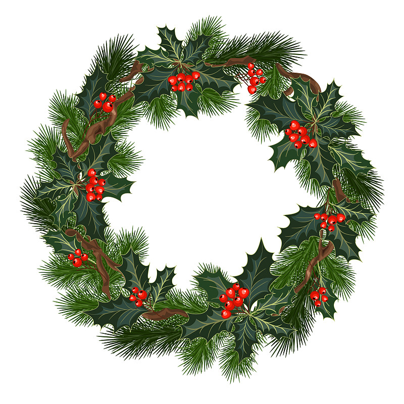 冬青树,浆果,圣诞装饰,红松,贺卡,边框,绘画插图,传统,圣诞树,云杉